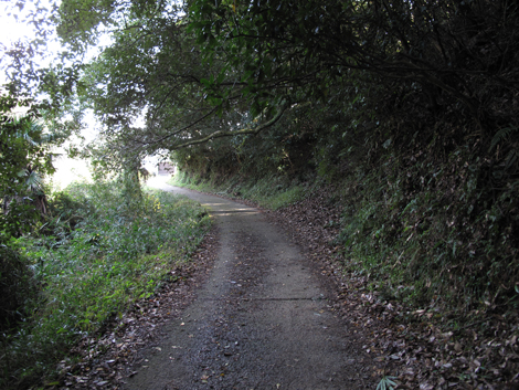 20131116hike (306)